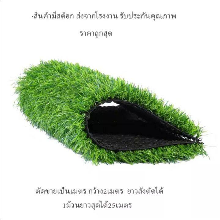 โปรพิเศษ-หญ้าเทียม-หญ้าปลอม-หญ้าแผ่นปูพื้น-อุปกรณ์ตกแต่งสวน-อุปกรณ์จัดสวน-หญ้าแผ่นตกแต่งสวน-ราคาถูก-หญ้า-หญ้าเทียม-หญ้าเทียมปูพื้น-หญ้ารูซี-หญ้าแต่งสวน-แต่งพื้น-cafe-แต่งร้าน-สวย-ถ่ายรุป