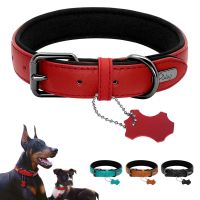 Leather Dog Collar Neoprene Padded Pet Collar Leash Harness for Small Medium Dogs For Bulldog Bull Terrier Pet Shop Collars