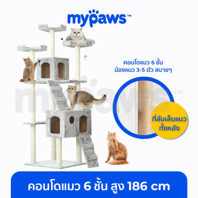 My Paws คอนโดแมว 6 ชั้น สูง 186 cm (A) สุดคุ้ม!!! กำมะหยี่นุ่มๆทั้งหลัง พร้อมเปล บ้าน บันได