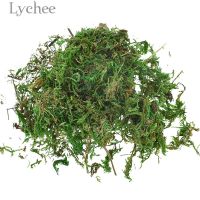 Lychee Life 10g Artificial Keep Dry Green Moss Simulated Green Plant Garden Flower Pot Decoration Artificial Flowers  Plants