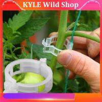 KYLE Wild Shop 50pcs Gardening Plant Clip Anti-break Holder Tomato Tree Support Stand Branches Garden Strengthen Fixing Stalk Retaining