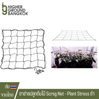 ตาข่ายปลูกต้นไม้ Scrog Net - Plant Stress Training - LST trellis net