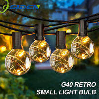 Fairy String Light G40 LED Globe Party Garland String Light Warm White 25 Clear Vintage Bulbs Decorative Outdoor Backyard 31FT