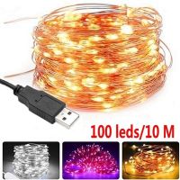 [Homior] 1M 5M 10M USB Christmas LED strip light 5V 50 100 LED Fairy string lamp copper garland with wire Deco light TV PC wedding party