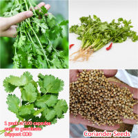 เมล็ดพันธุ์แท้100% อัตราการงอกสูง 100 แคปซูลต่อแพ็ค Coriander Seeds Vegetable Seeds เมล็ดพันธุ์ Plants เมล็ด พันธุ์ไม้หายาก เมล็ดพันธุ์ผัก ของแต่งสวน แต่งสวน อัตราการงอกสูง ในสต็อกในประเทศไทย มีคุณค่าทางโภชนาการสูง เก็บเงินปลายทาง COD มีคุณค่าทางโภชนาการส