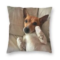 【LZ】vfvixy Funny Jack Russell Terrier Meme Cushion Cover 40x40cm Home Decor Fashion Pillowcover Dog Lover Throw Pillow Case for Sofa Car