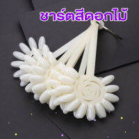 ชาร์ตโชว์สีดอกไม้ (B41)