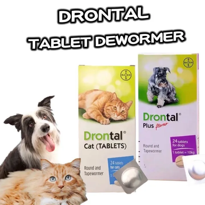 DRONTAL 1 Tablet Cat Dewormer Round and Tapewormer for Cats and dogs ...