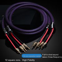 One Pair Hifi Speaker Cable High Quality 7N OCC Speaker Wire With banana Y Plug and Pin Plug