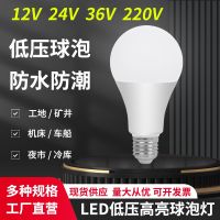 led low voltage lamp 12v24v36v volt floor stall mine battery cold storage machine tool AC direct AC energy-saving light bulb