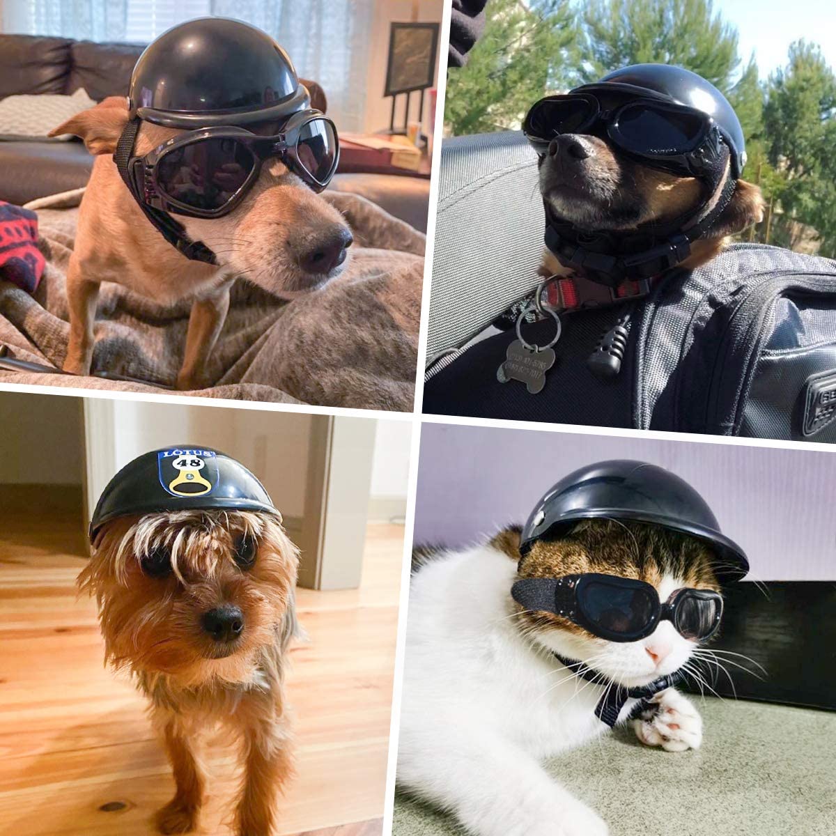 Namsan Pet Helmet Cat Helmet for Bike Small Dogs Helmet for Motorcycle 
