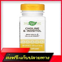 Fast and Free Shipping Natures Way, Choline &amp; Inositol 500 mg 100 Capules Ship from Bangkok