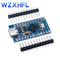 Type-c MICRO USB ATMEGA32U4 Module 5V 16MHz Board For Arduino ATMEGA32U4-AU/MU Controller Pro-Micro Replace Pro Mini WATTY Electronics