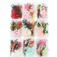 【YD】 Real Dried Flowers Leaves Set Crafts Mixed Multiple for Candle Resin Jewelry Pendant Making Accessories