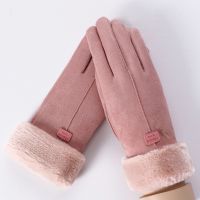 【CW】 2022 New Gloves Suede Thickening Outdoor Warm Cycling Driving Hiking Touchscreen Windproof