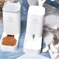 Piecesset Cat Feeding Bowls for Dog Automatic Feeders Dog Water Dispenser Fountain Bottle For Cat Bowl Feeding And Drinking