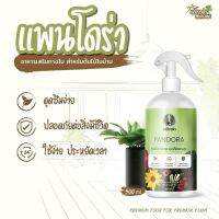 ฟื้นต้นเหลือง ใบใหญ่ สีชัด ซึมไว แพนโดร่า 500ml อาหารเสริมต้นไม้ พร้อมใช้ สเปรย์ ตรา เหยี่ยวดำ Pandora ขวด