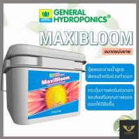 [Ready stcok]⭐⭐⭐⭐General Hydroponic -  MaxiBloom ปุ๋ยหลักชนิดผงสำหรับช่วงทำใบ แบ่งขาย 50/100/250 กรัม ปุ๋ยนอก ปุ๋ยนำเข้า ปุ๋ยUSA⭐⭐⭐⭐⭐⭐ส่งฟรี