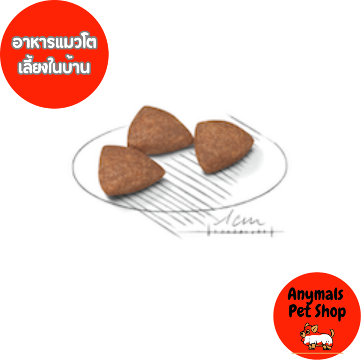 royal-canin-indoor-27-แบ่งขาย-1-กิโลกรัม-โรยัลคานิน-อาหารแมว-สูตรเลี้ยงในบ้าน-27-กระสอบ-แบ่งขาย-1-กิโลกรัม