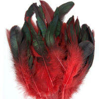 บาหลี50Pcs Lot สีธรรมชาติ Rooster 6-8นิ้วไก่ฟ้าไก่ Feather Craft