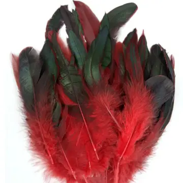 50/100 Pcs Natural Pheasant Chicken Feather For DIY Crafts Rooster Feathers  Jewelry Earring Decoration Accessories Plumes 8-15CM