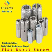 M6-M16 Galvanized Iron Expansion Screws  Expansion Bolts  Top Burst Blasting Gecko  Flat Burst Screws 316/304/ Carbon Steel Nails Screws Fasteners