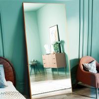 [COD] Full-body mirror dressing full-body wall-mounted fitting girl store bedroom home three-dimensional large