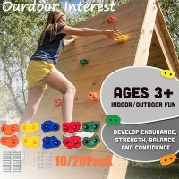 Children Assorted Rock Climbing Holds Indoor Outdoor Kids Playground Build Mounting Hardware Kit Included DIY Rock Wall