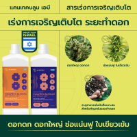 แคนเทคบลูม เอบี (Canntech Bloom AB) เร่งการเจริญเติบโตระยะทำดอก