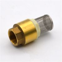 Brass One Way Valve Check Valve Non Return with Strainer Filter 1/2 BSPT Female Threaded