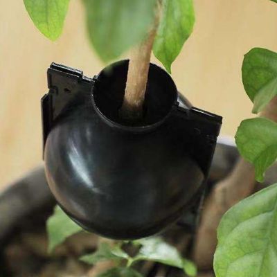 【LZ】 Compact 10Pcs Helpful Air Layering Plant Propagation Ball Durable Plant Rooting Ball Sturdy   Garden Tools