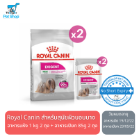 Royal Canin Box Care Kit for Dog เซ็ตอาหารเม็ดสำหรับน้องหมา Exigent สูตรสำหรับสุนัขช่างเลือก (1แถม1)