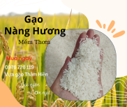 Gạo Nàng Hương - Gạo Mềm Thơm - Bena Organic