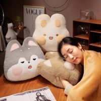 Pillow Covers Vehicle Office Nap Pillow Combined With Coral Fleece Blanket Students More Warm Hand Hold Pillow 【AUG】