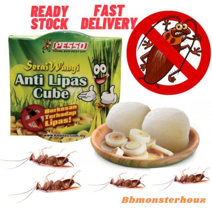 Pesso Anti Lipas Cube Cockroach Cube Ubat Lipas Racun Lipas | Lazada