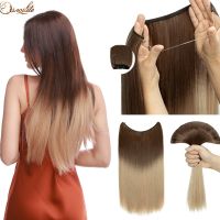 S-noilite 32colors Synthetic Invisible Wire Straight Hair Extension Clip In False Hair Hairpieces Long Smooth Fish Line Hair Wig  Hair Extensions  Pad