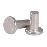 M2 M2.5 M3 M4 M5 M6 304 Stainless Steel Solid Rivets AL Knock Flat Head Rivet GB109