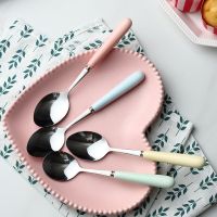 2 PCS Candy color ceramic stainless steel spoon creative simple solid color household environmental protection coffee spoon Serving Utensils