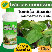 [โซตัส] โฟแมกซ์ แมกนีเซียม 300 (Phomax Mg 300) 1 ลิตร