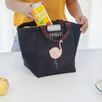 Portable Waterproof Lunch Bags Storage Bag Package Picnic cold insulation Bag