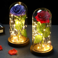 LED Enchanted Galaxy Rose Eternal 24K Gold Foil Flower With Fairy String Lights In Dome For Christmas Valentines Day Gift