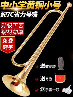● charm student trumpet musical instrument professional brass playing charge foreign children blowing b down