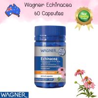 Wagner Echinacea 60 Capsules