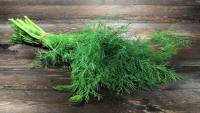 เมล็ดพันธุ์ผักชีลาว (Dill) จากบ้านสวน  ไม่ตัดต่อพันธุกรรมเก็บเมล็ดปลูกต่อได้ซองละ 25 บาท