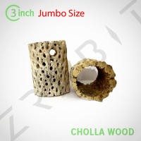 Cholla Wood Jumbo size ใหญ่พิเศษ ขอนไม้ บ้านกุ้ง กุ้งแคระ กุ้งเรดบี กุ้งสุราเวสี