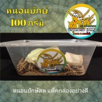 หนอนยักษ์ 100 กรัม บรรจุกล่องอย่างดี !!! (ไม่รับประกัน)