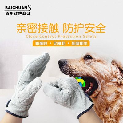 A pair of thickened cowhide anti-dog bite gloves cat lizard reptile catching turtle catching rat anti-rat animal bath gloves