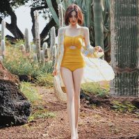 Swimsuit womens summer 2023 new Korean ins seaside vacation conservative cover belly thin sexy hot spring one-piece swimsuit