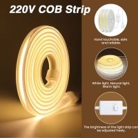 Dimmer 220V COB LED Strip 288Leds/M Waterproof Outdoor Garden Decor 3000K 4000K 6000K White Flexible Ribbon Tape FCOB Light