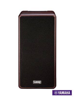 Laney  A-Duo Acoustic Amp แอมป์โปร่ง แอมป์อคูสติก 60 วัตต์ ลำโพงสเตอริโอ เสียบเล่นเครื่องดนตรีได้ 2 ตัว มีเอฟเฟค Reverb &amp; Chorus ในตัว